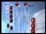 Laboratory Plastic Ware