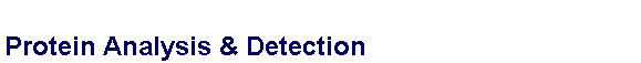 Text Box: Protein Analysis & Detection
